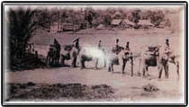 Latar Belakang Raub