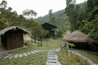 Tanah Aina