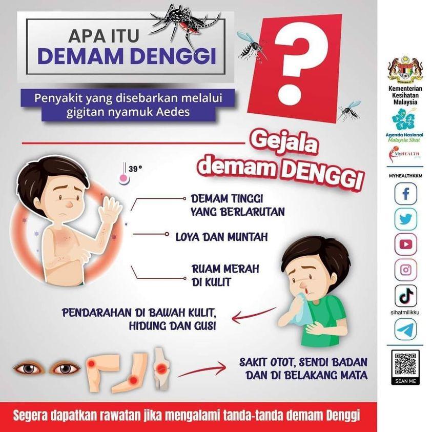 gejala demam denggi akibat nyamuk eades